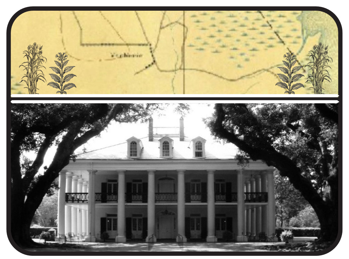 St. James Parish—Inspired by St. James Flake