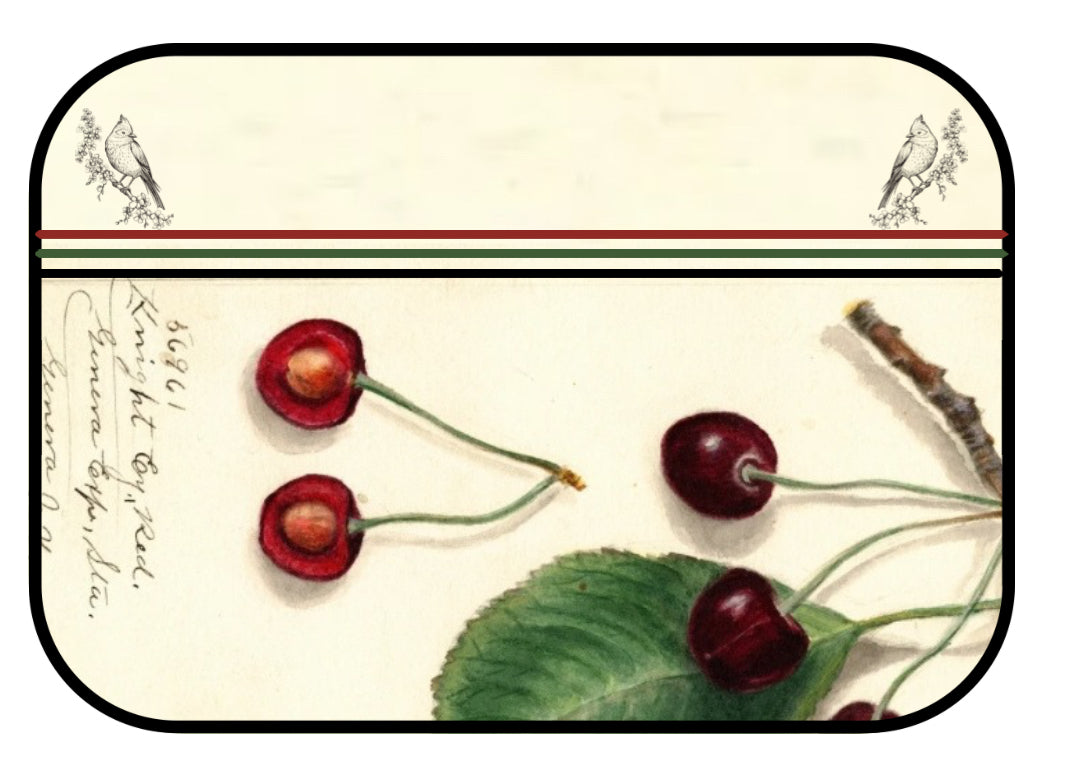 Black Cherry—Inspired by Kendal Black Cherry