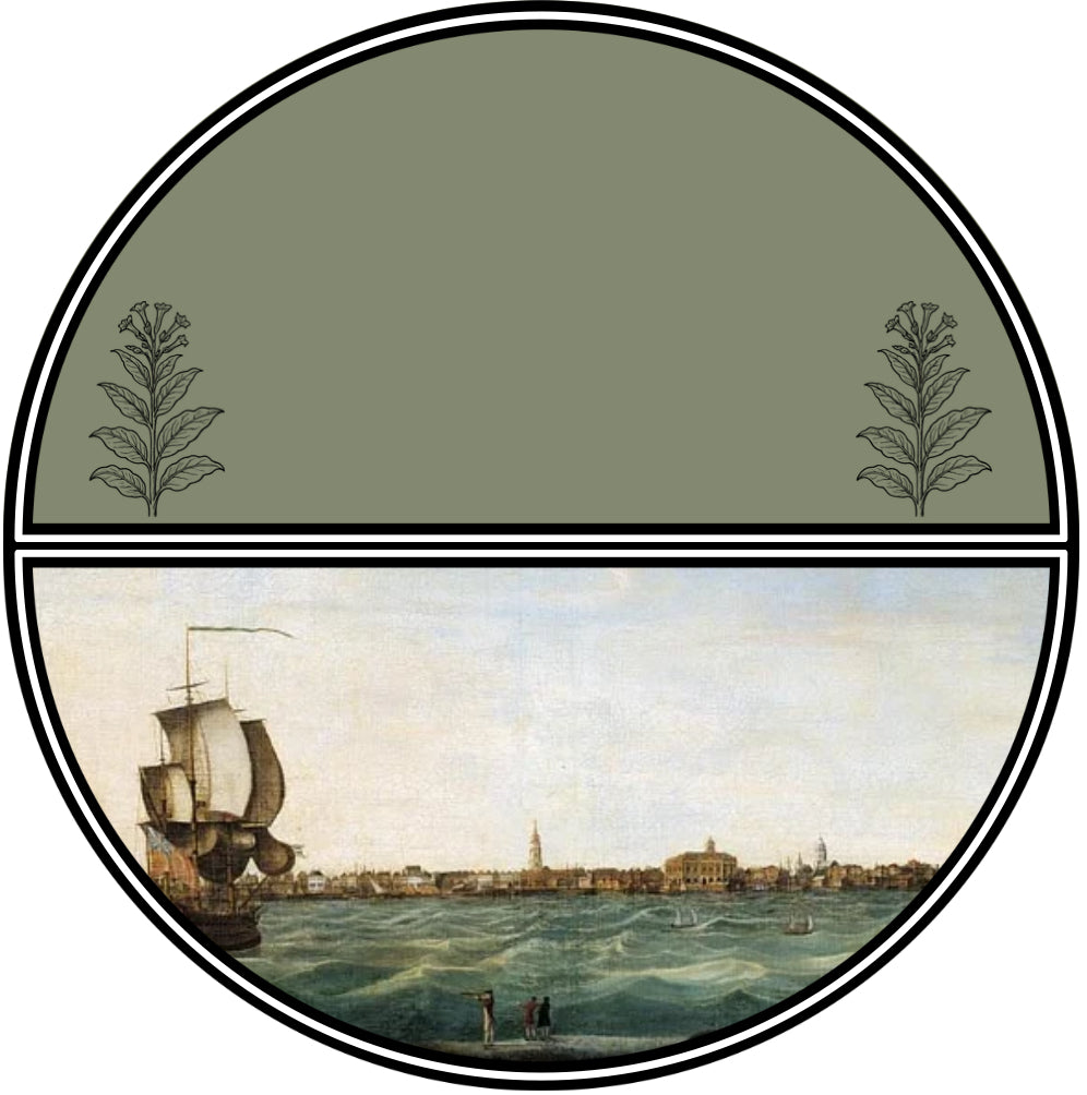 Carolina Coast—Inspired by Natural Virgina